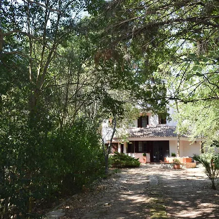 L'antica Quercia * Locorotondo