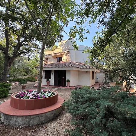 L'antica Quercia Locorotondo