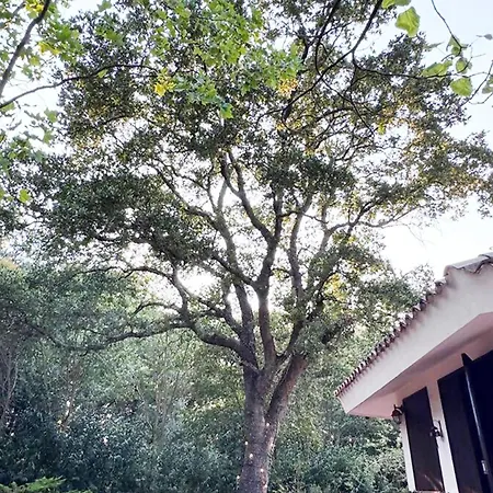 L'antica Quercia Villa Locorotondo