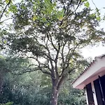 L'antica Quercia וילה