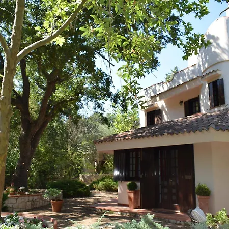 L'antica Quercia Villa Locorotondo