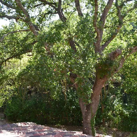 L'antica Quercia Βίλα Locorotondo