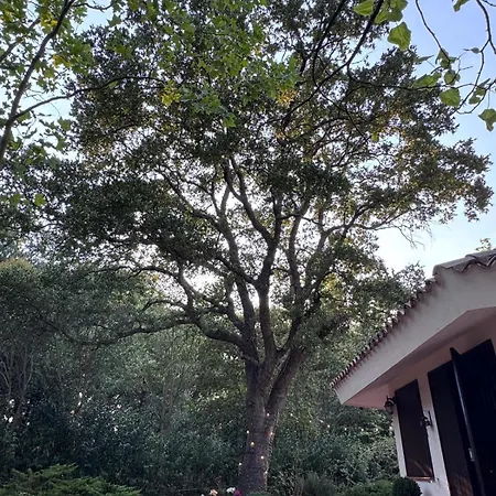 L'antica Quercia Βίλα