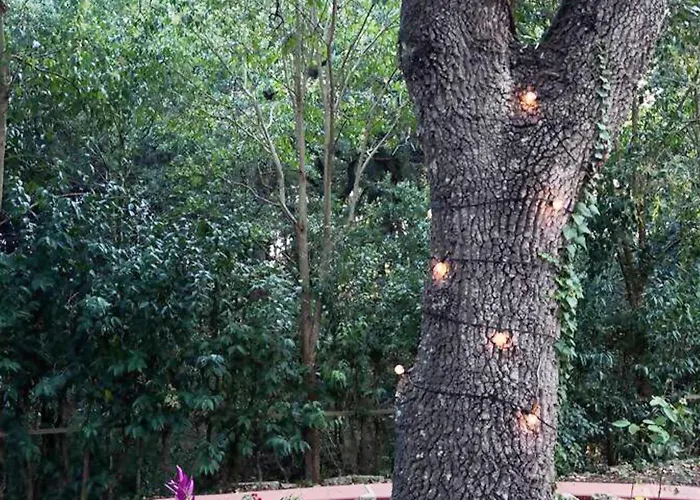 L'antica Quercia וילה *